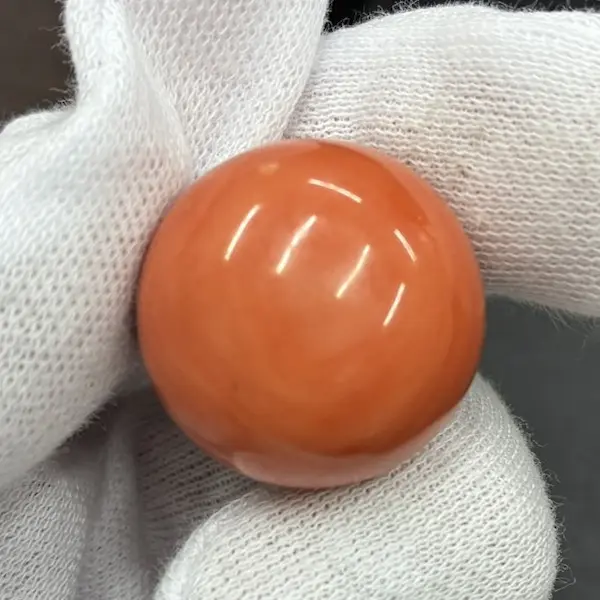 サンゴ　24㎜