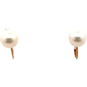 パール