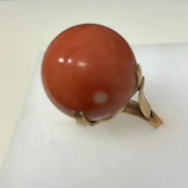 サンゴ　17mm