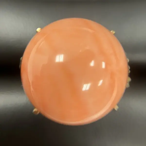 サンゴ　16mm