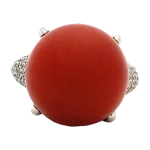 珊瑚（サンゴ）