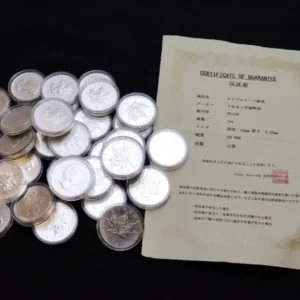 カナダ メイプルリーフ銀貨 2013年 1オンス 計31枚