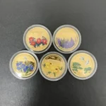 天皇陛下御即位記念 公式プルーフ金貨