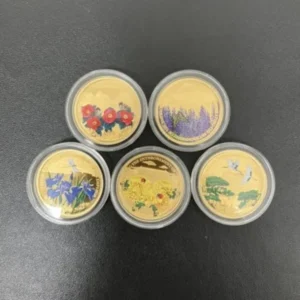 天皇陛下御即位記念 公式プルーフ金貨