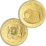 24金 (K24) ソマリア野生生物 象金貨 1/10オンス