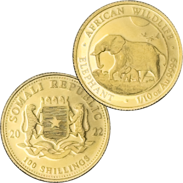 24金 (K24) ソマリア野生生物 象金貨 1/10オンス