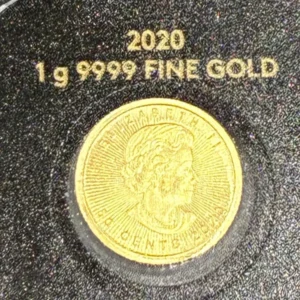 K24　2020メイプルリーフ金貨　1g
