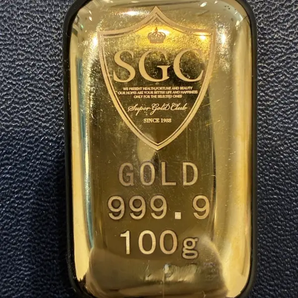 SGC　インゴット　100g