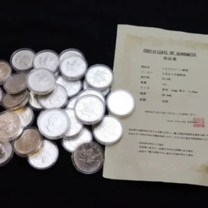 カナダ メイプルリーフ銀貨 2013年 1オンス 計31枚