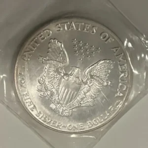 SV1000　イーグル銀貨　31g