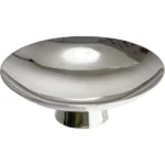 シルバー1000 (Sv1000) 銀杯