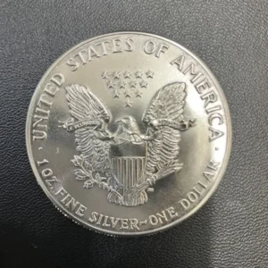 SV1000　イーグル銀貨　31.1g