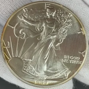 SV1000　イーグル銀貨　31.4g