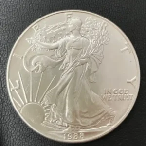SV1000　アメリカンイーグル銀貨　31.2g