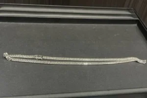 Pt900 喜平ネックレス